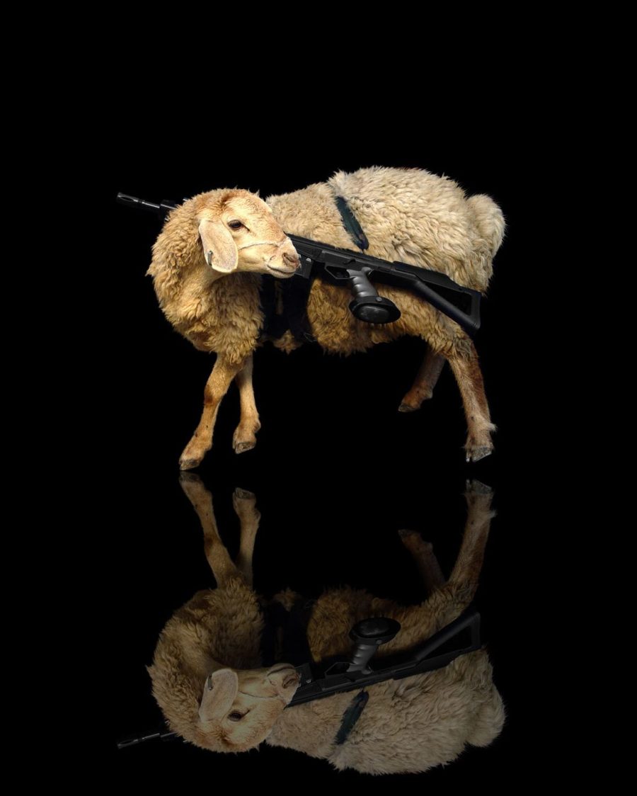 WhatsApp Image 2024-03-01 at 10.23.10